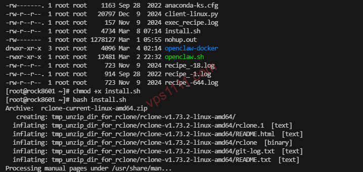 Rclone 一键安装成功与版本号检查终端截图