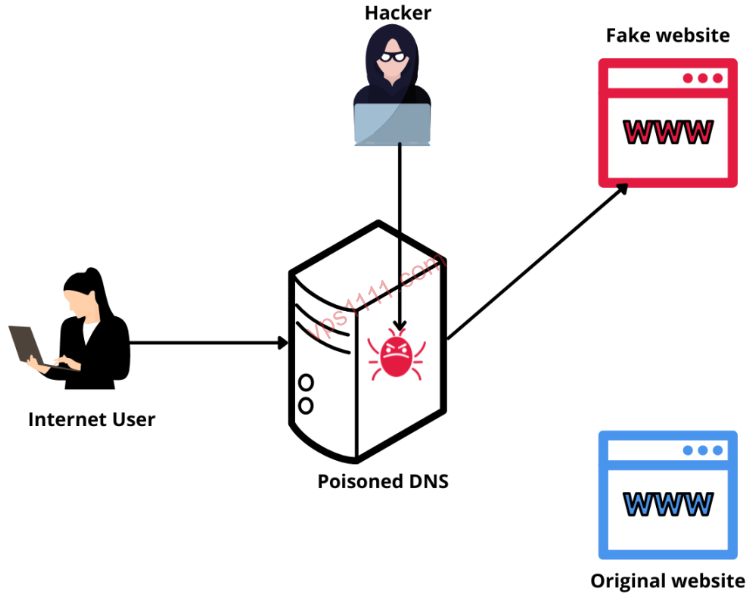 跨国网络 DNS 污染原理示意图：黑客通过干扰 DNS 解析服务器，将用户访问从原始源站诱导至虚假站点